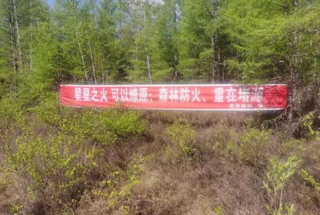呼中林業局宏偉林場&ldquo;四個到位&rdquo;確保補植補造期間森林防火安全